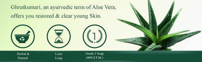 Anuved Aloe Vera Soap with Vitamin E Soap - 125g each